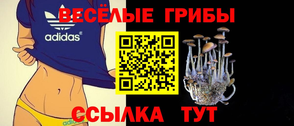 Псилоцибиновые грибы GOLDEN TEACHER  Вход с VPN  закладки  Лесозаводск 